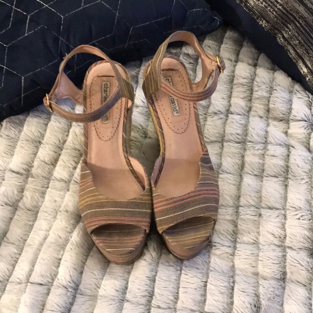 Beautiful striped Charles David espadrilles